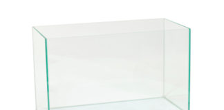 Come costruire un acquario 1163 0 Come costruire un acquario